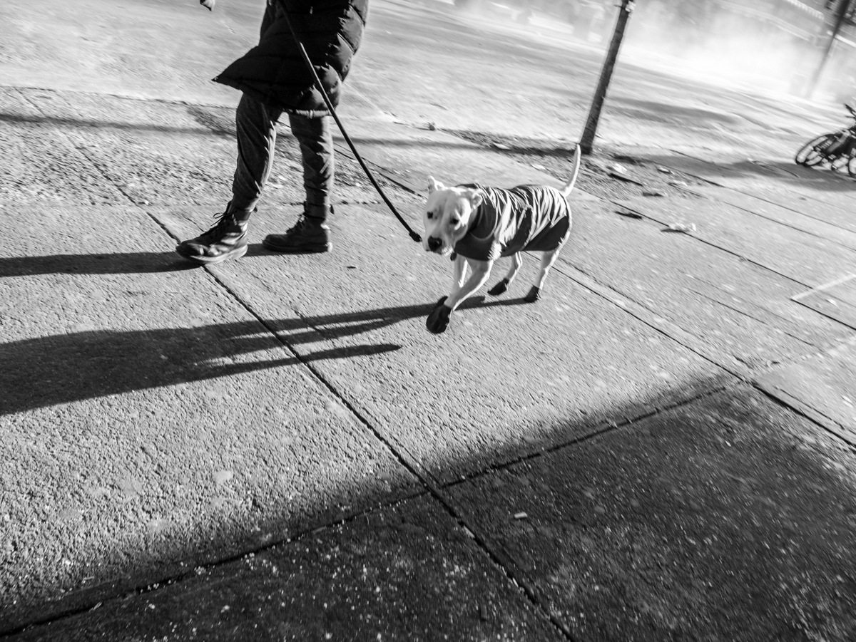 _1040781.jpg