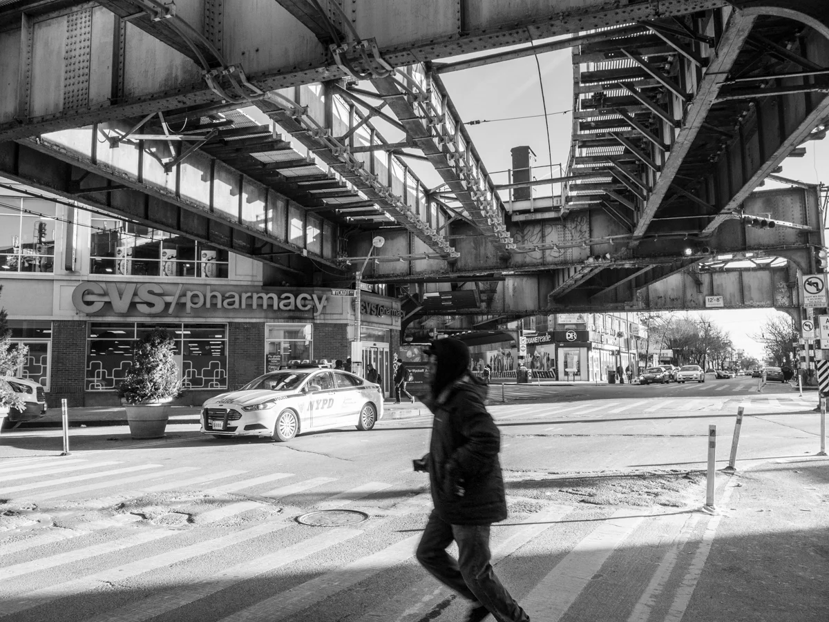 _1040788.jpg