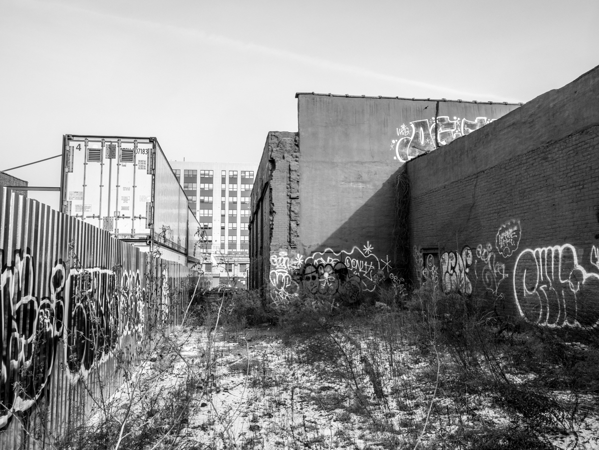 _1040709.jpg