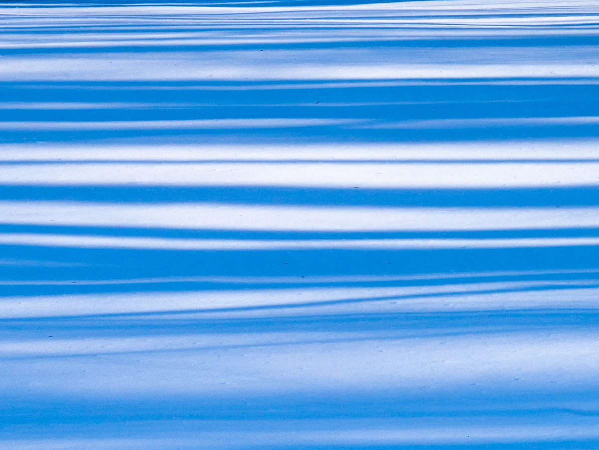 _1050790.jpg