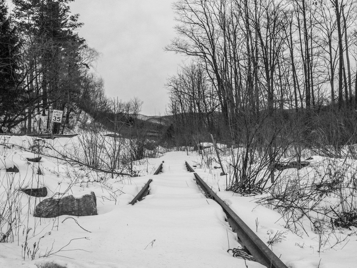 _1050817.jpg