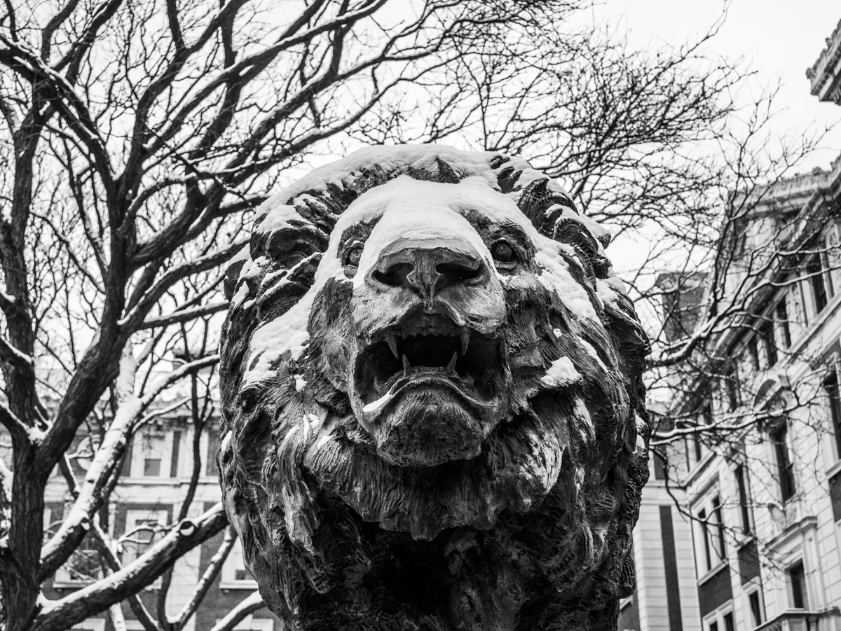 _1060235.jpg