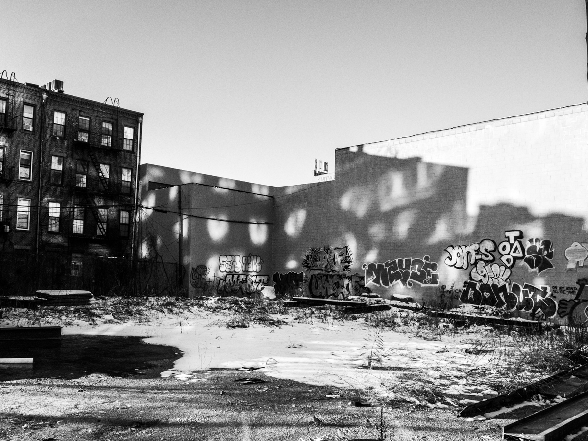 _1060503.jpg