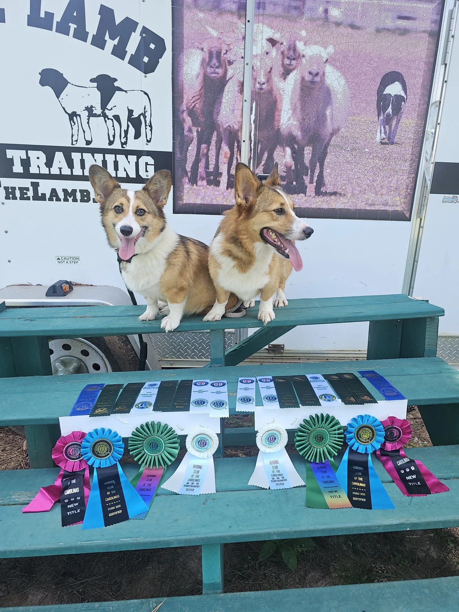 Title-A-Thon in Union, SC