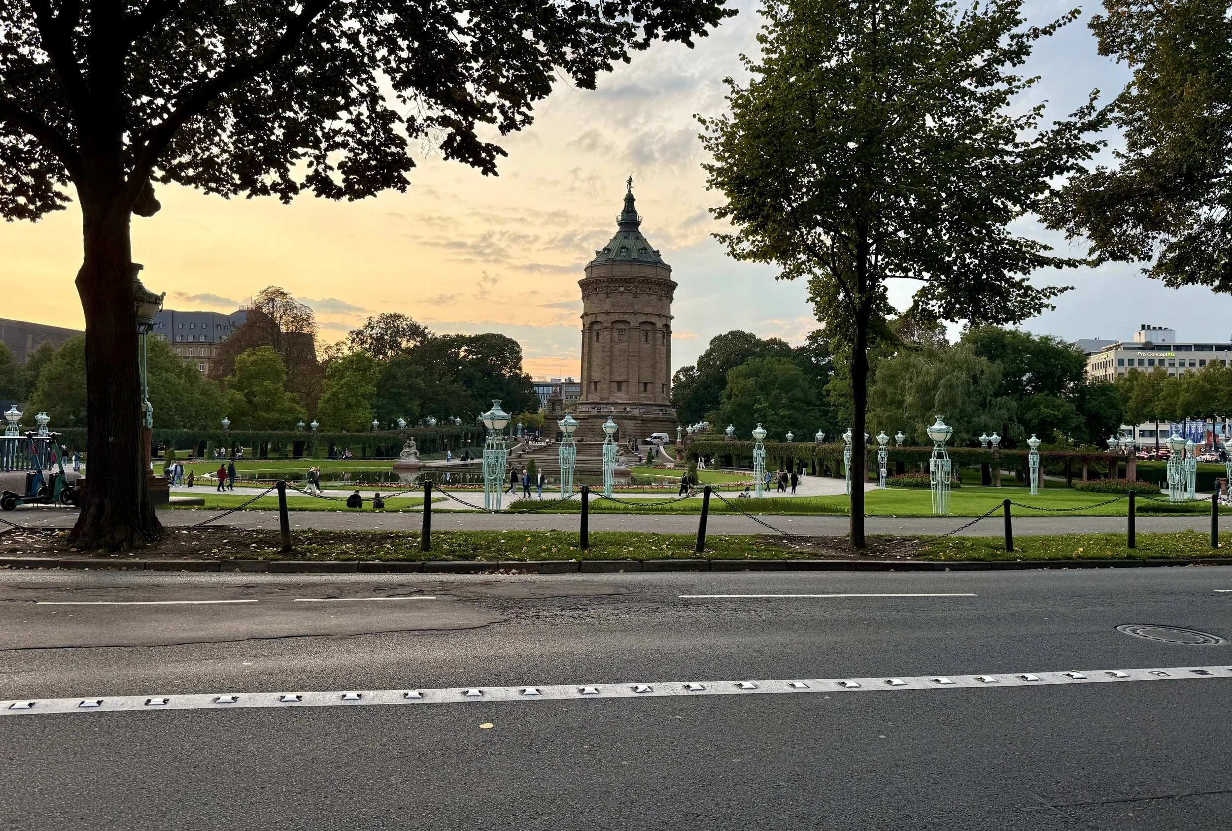 IMG_3181.jpeg