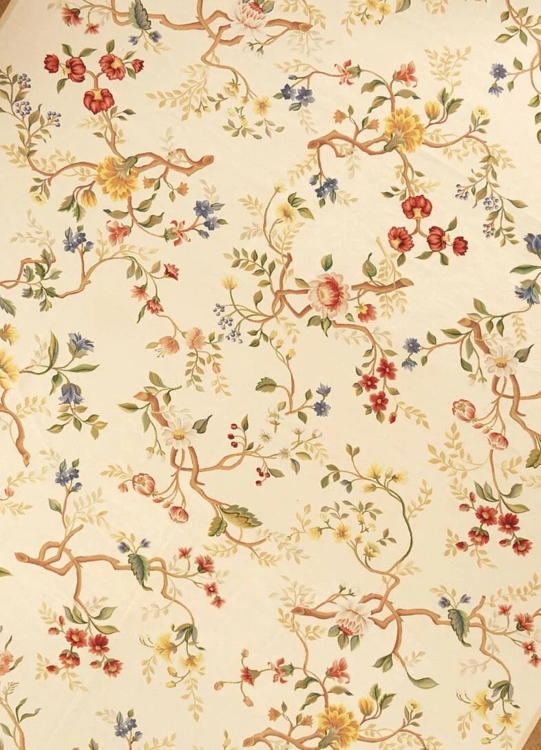 Aubusson Rugs