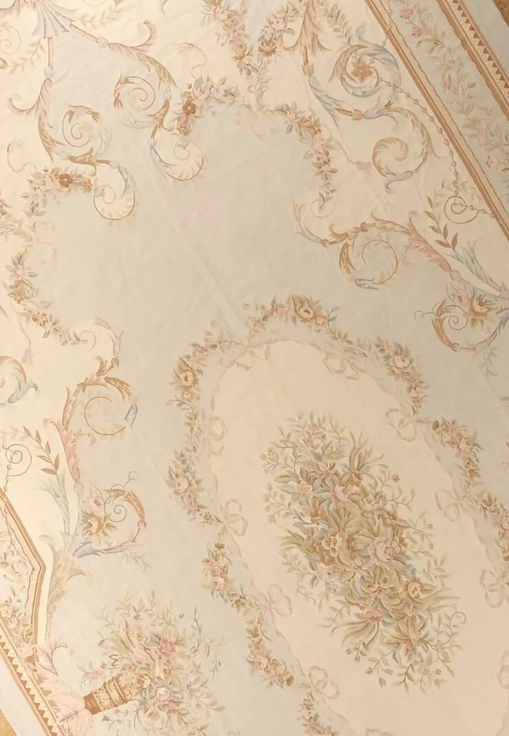 Aubusson Rugs