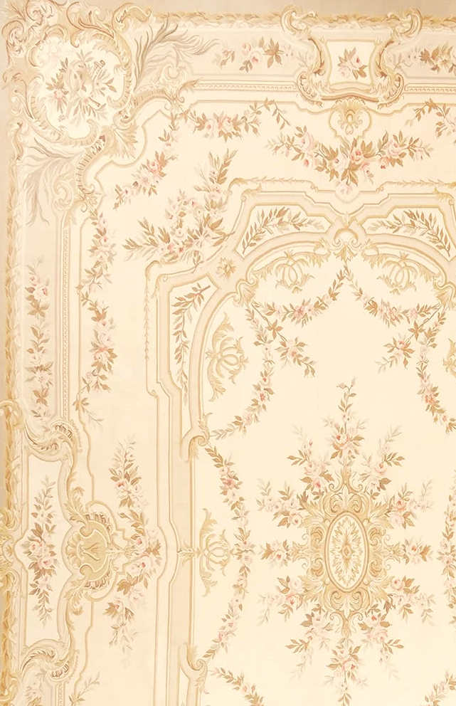 11.9 x 18.1 Aubusson Carpet W-236