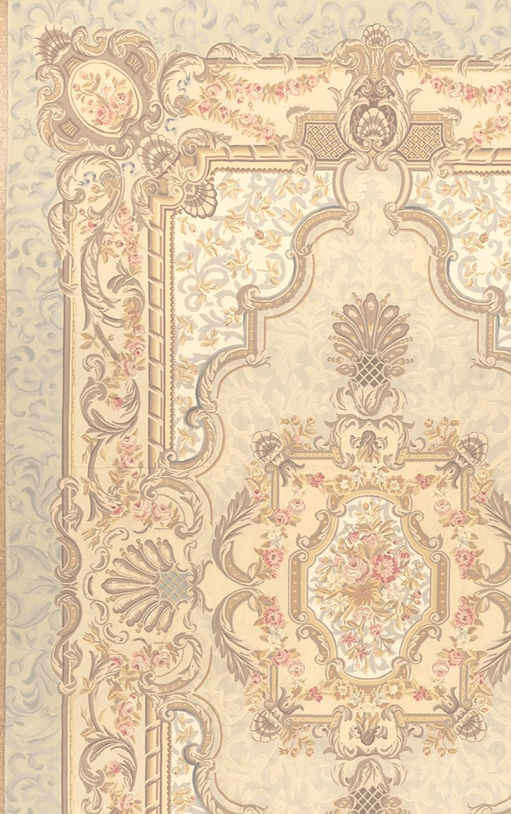 10.7 x 17 Aubusson Rug 5051