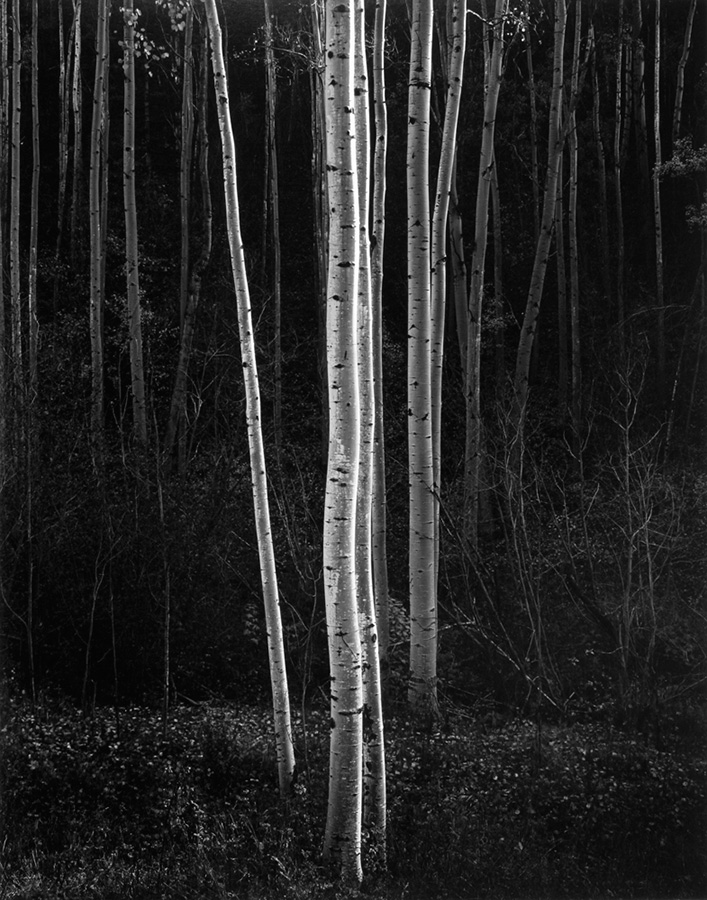 Photo: Ansel Adams