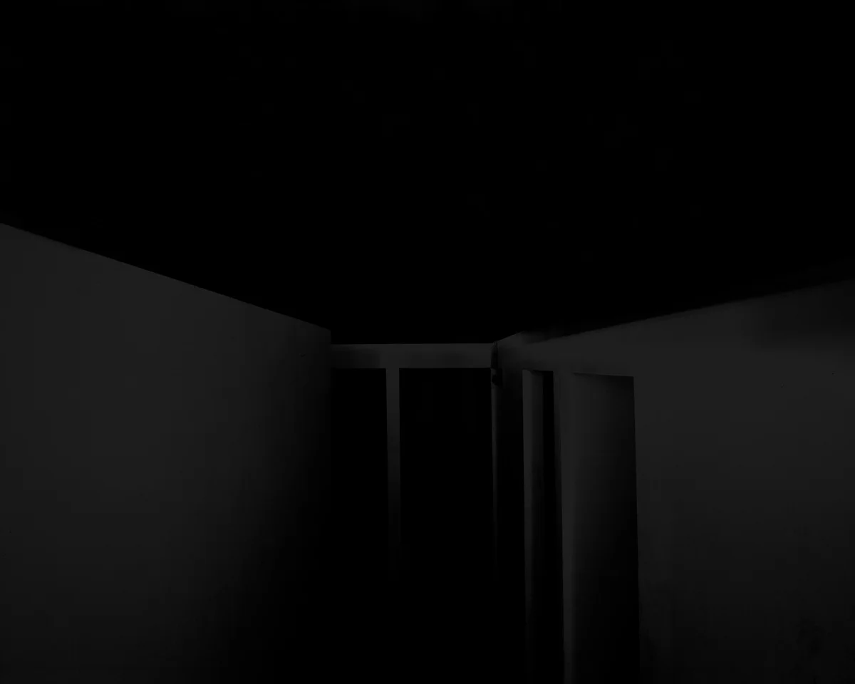    Abbys_01 , 2013, 40×50 inches, Inkjet Print  