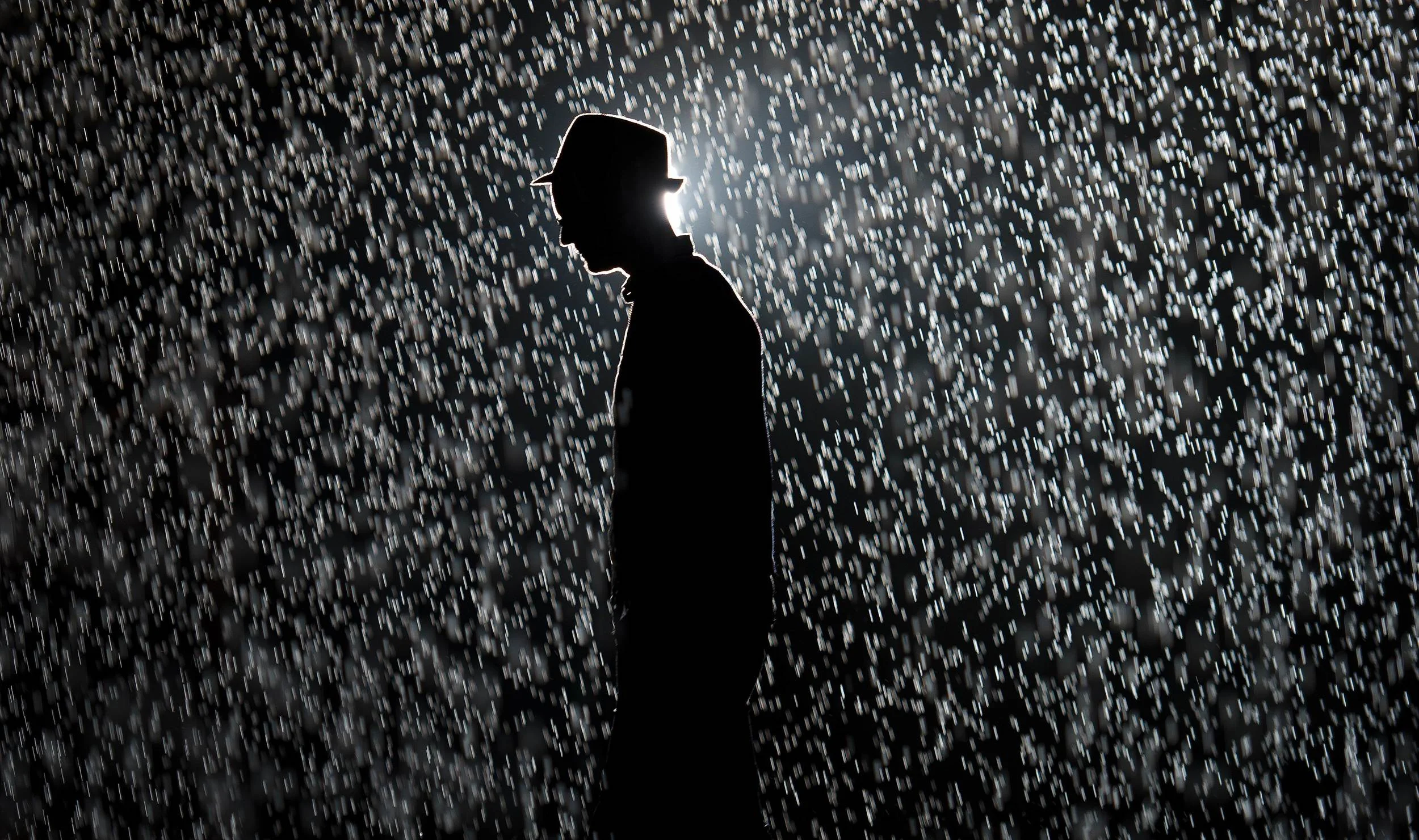 Rain Room (2012), Random International, Photo: AFP/Leon Neal