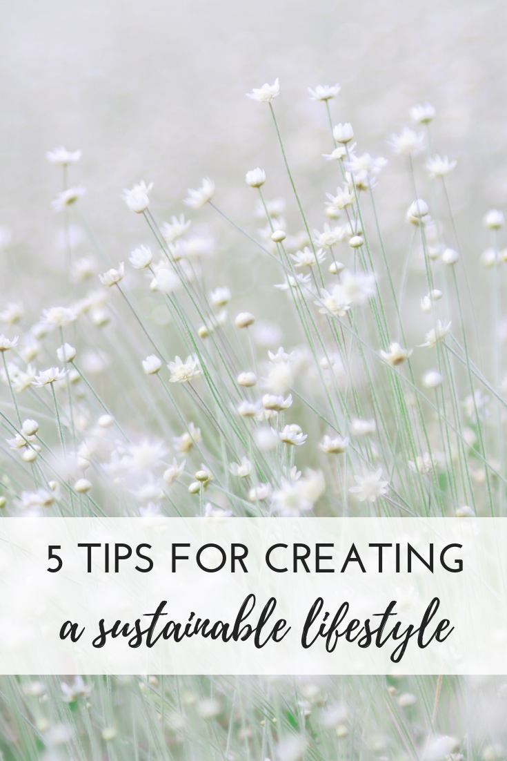 5 TIPS FOR CREATING.png