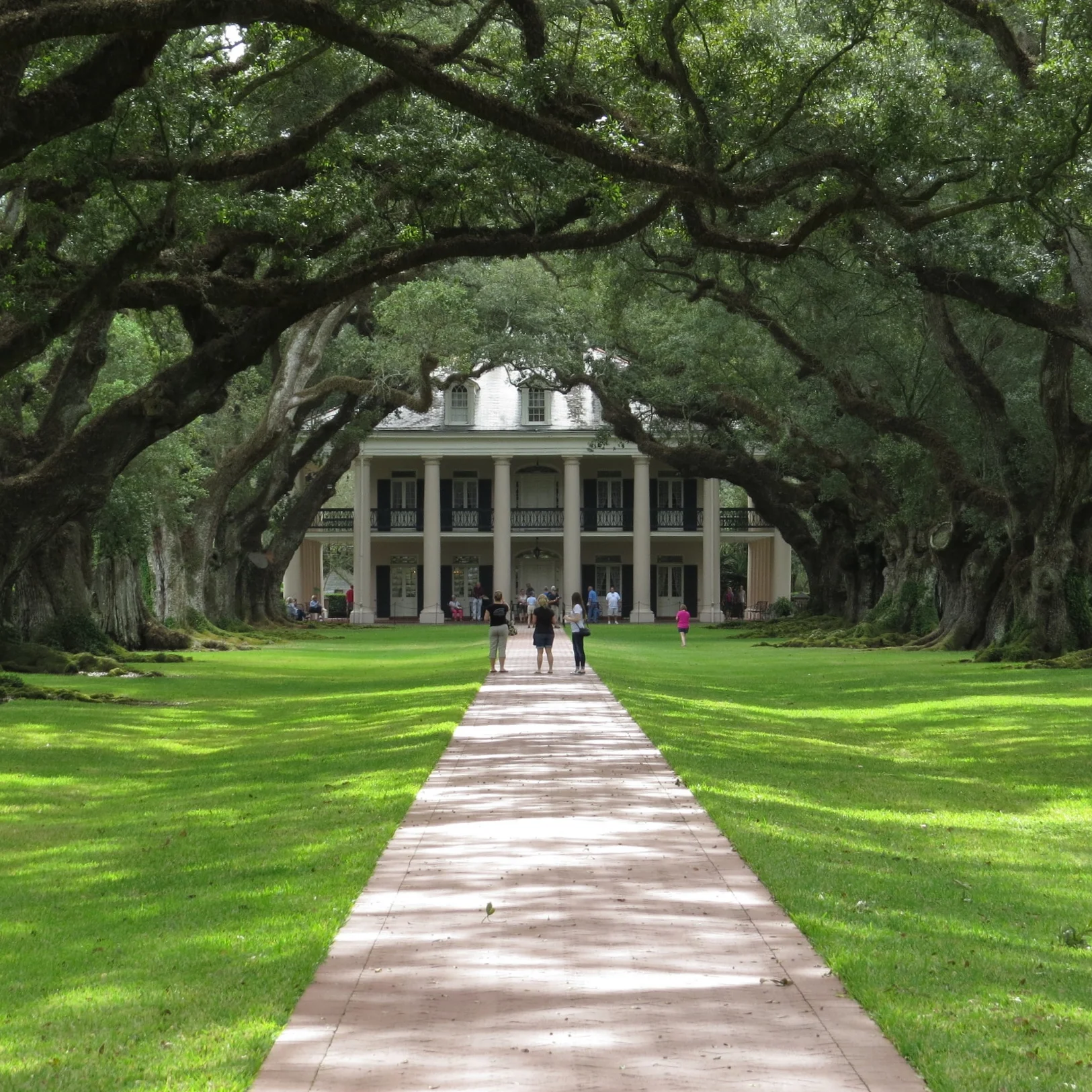 Oak Alley © Ali McLaren | Lilly + May