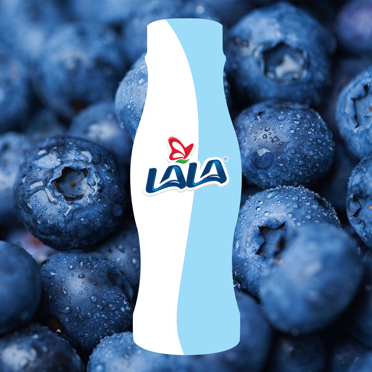 LALA-Yogurting-Insta-Video-01.gif