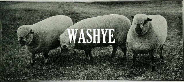 Yahweh Everywhere  Washington