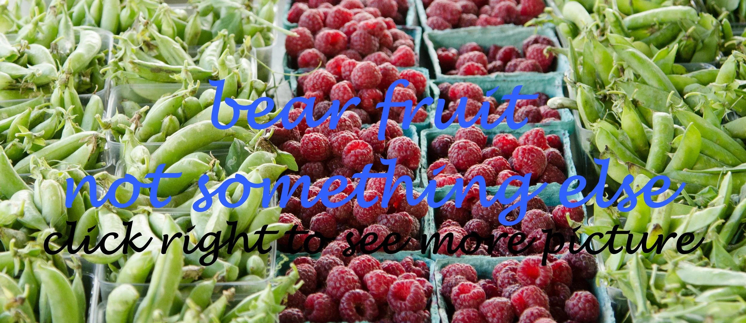 bear fruit not something else.jpg