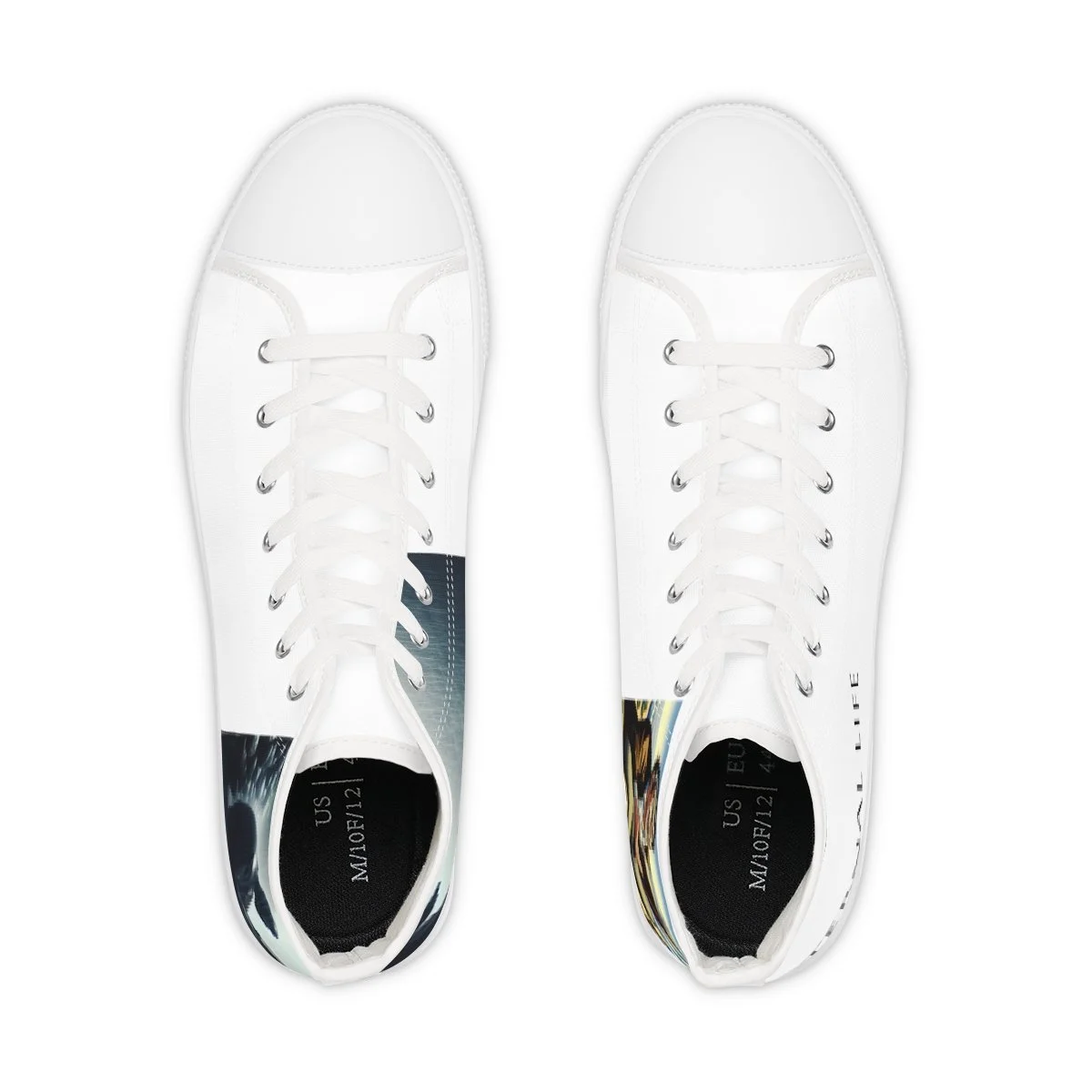 3043b776053d2311509c87806a0f4f90