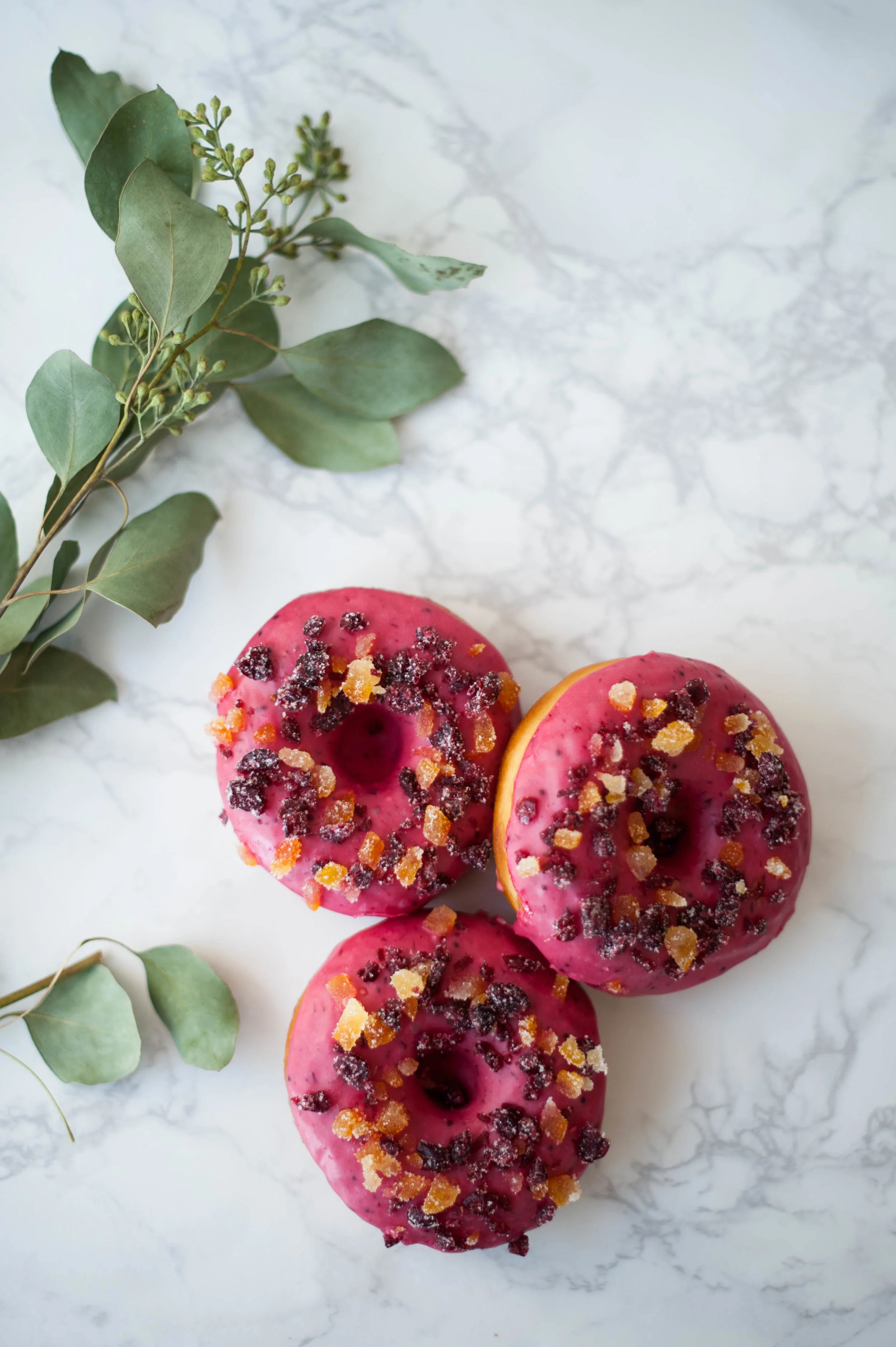 Astro Doughnuts_November-8.jpg