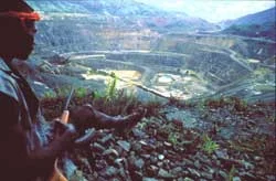 The Coconut Revolution