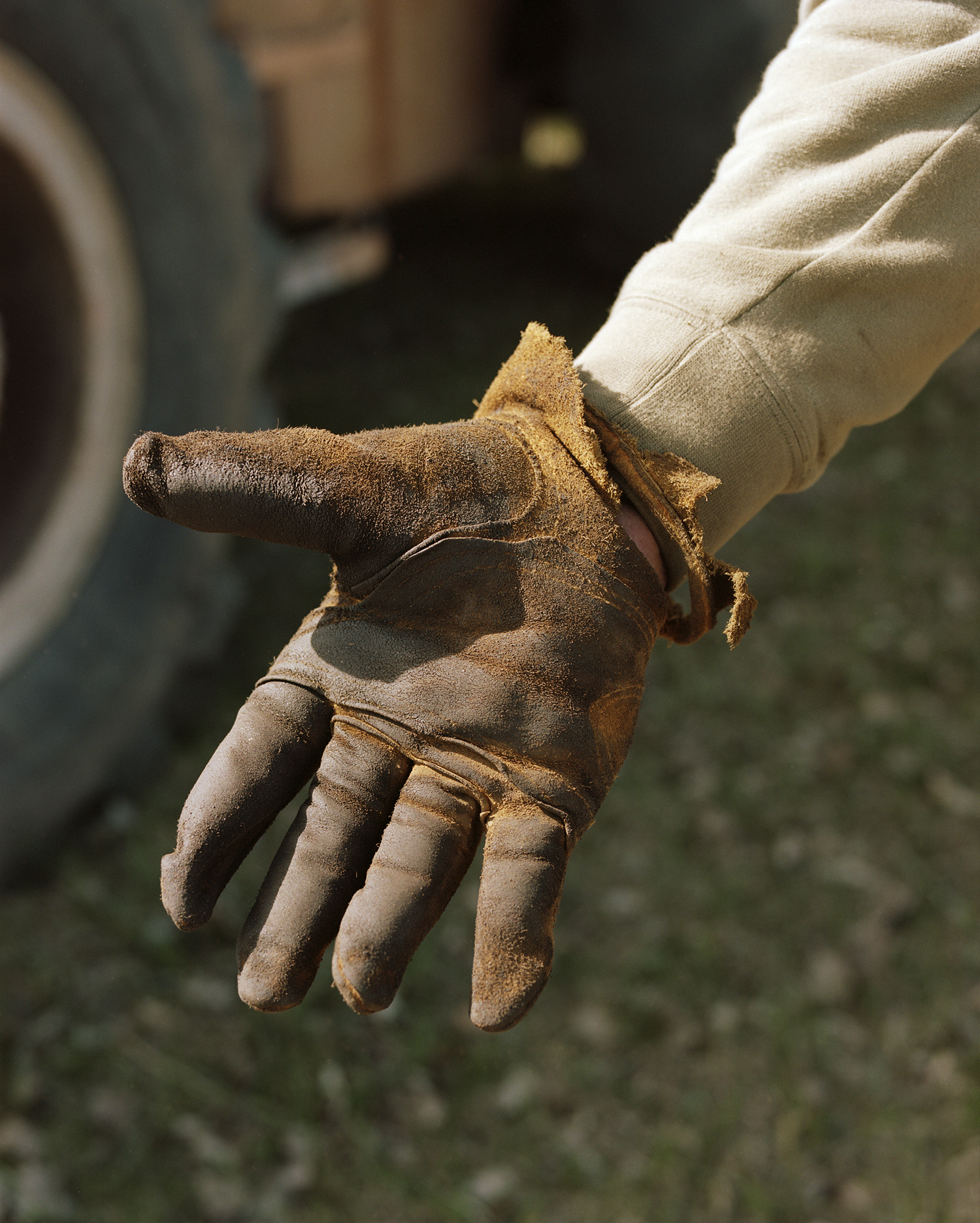 Work Glove