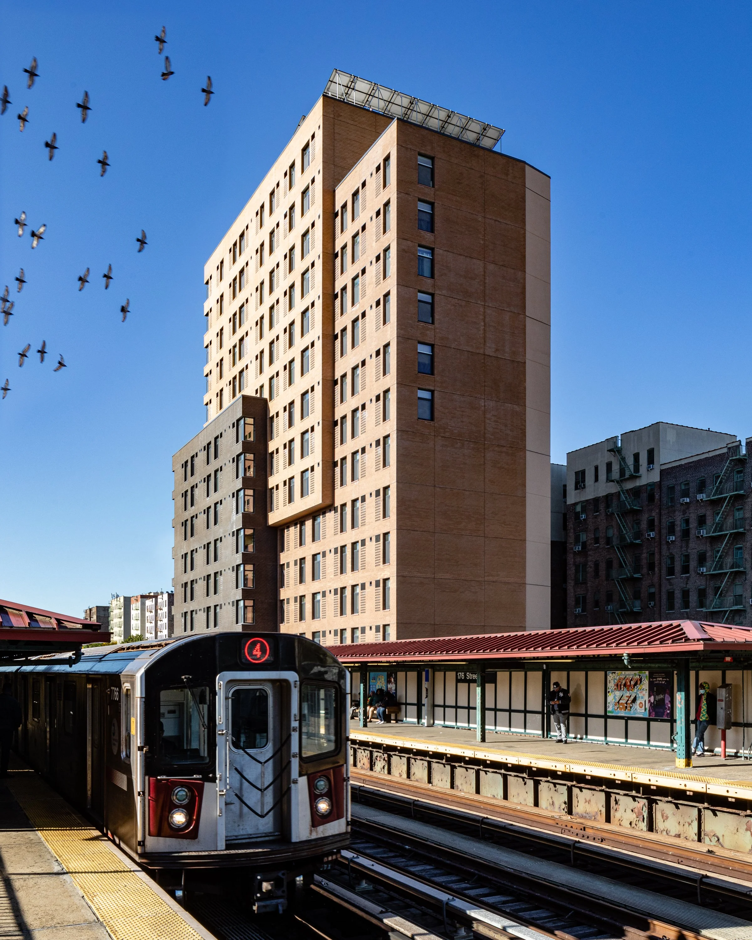 Jerome Court Housing for Marvel Architects 