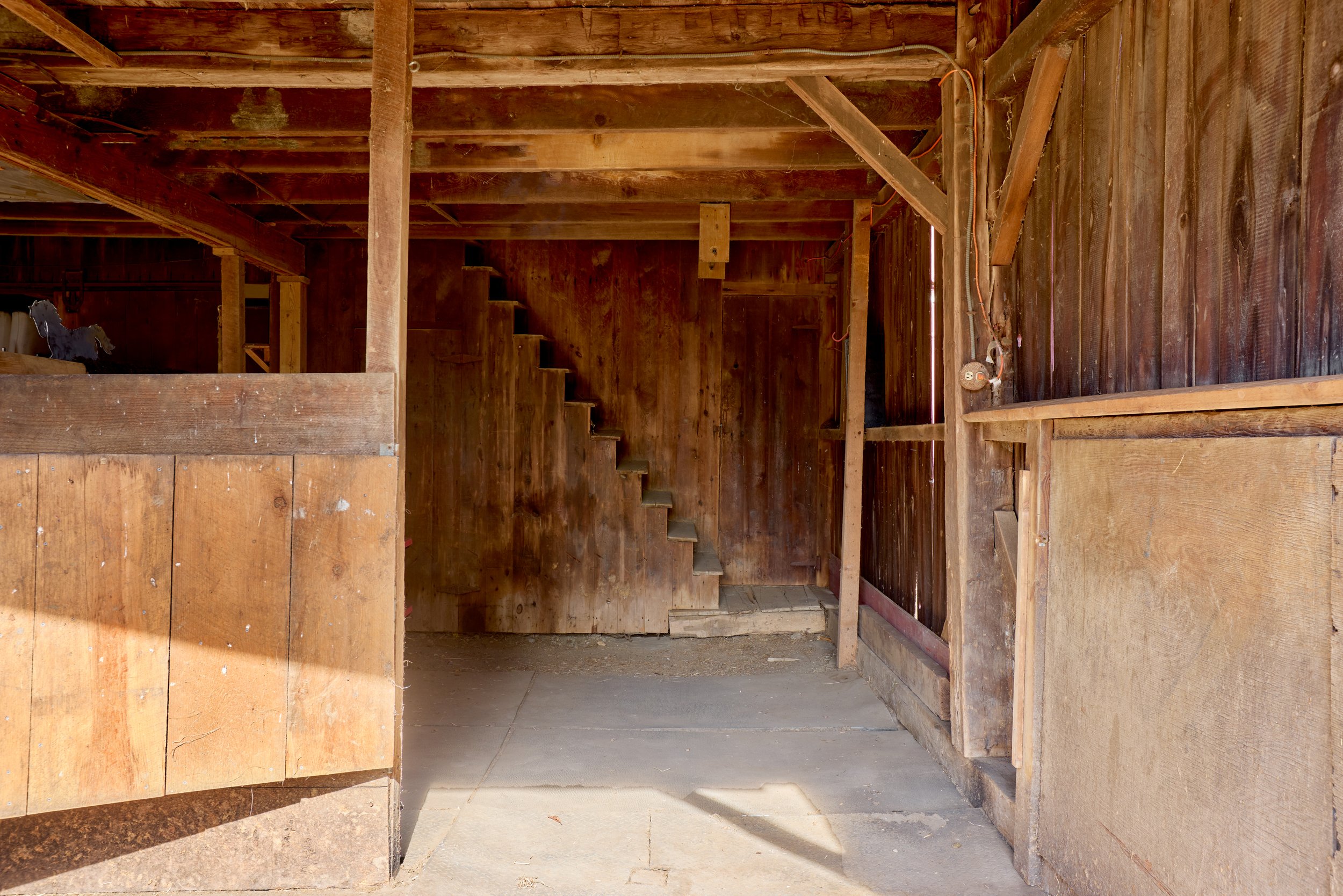 JP0A0071_HDR_v2.jpg