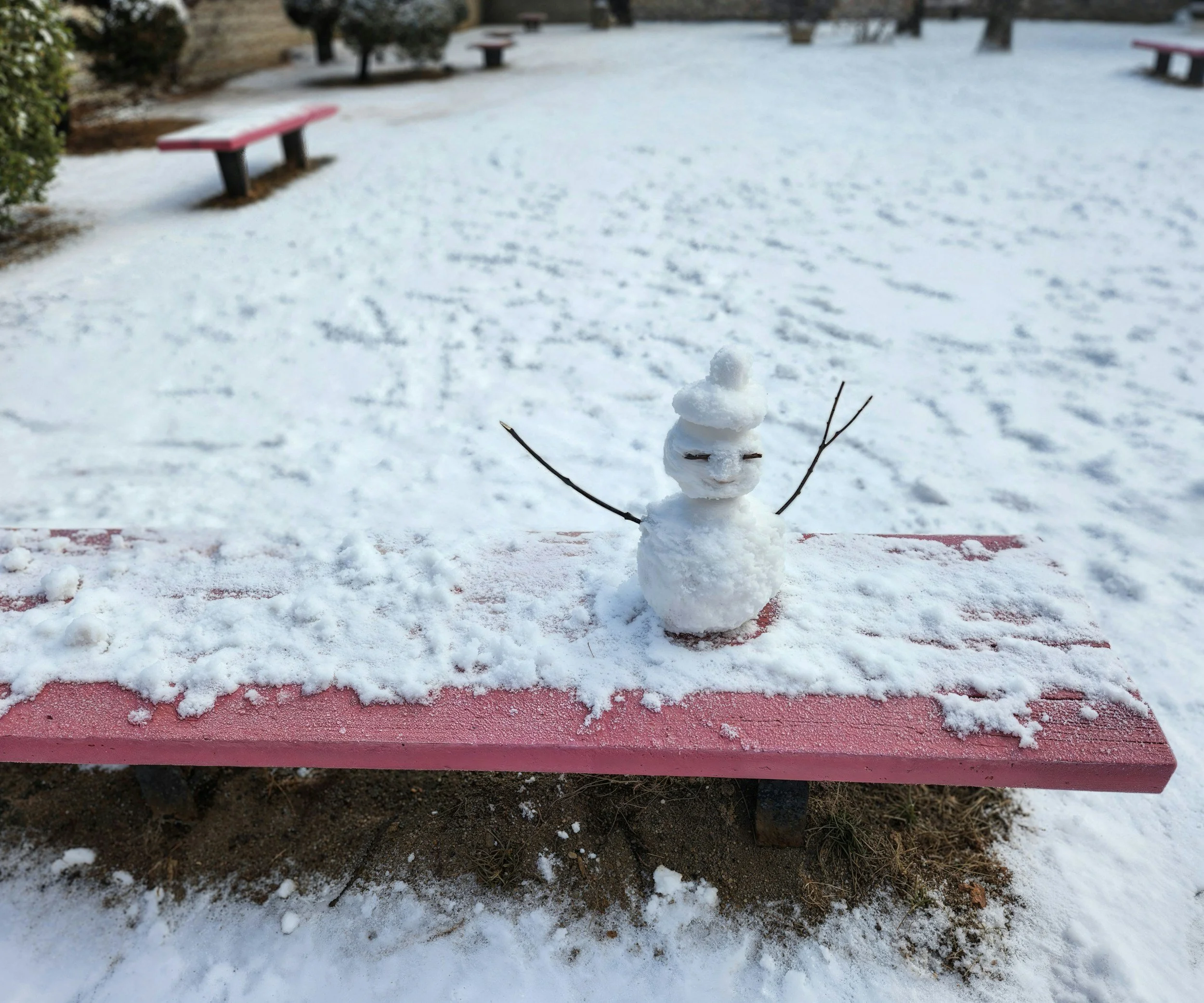 Winter Break: No School! 