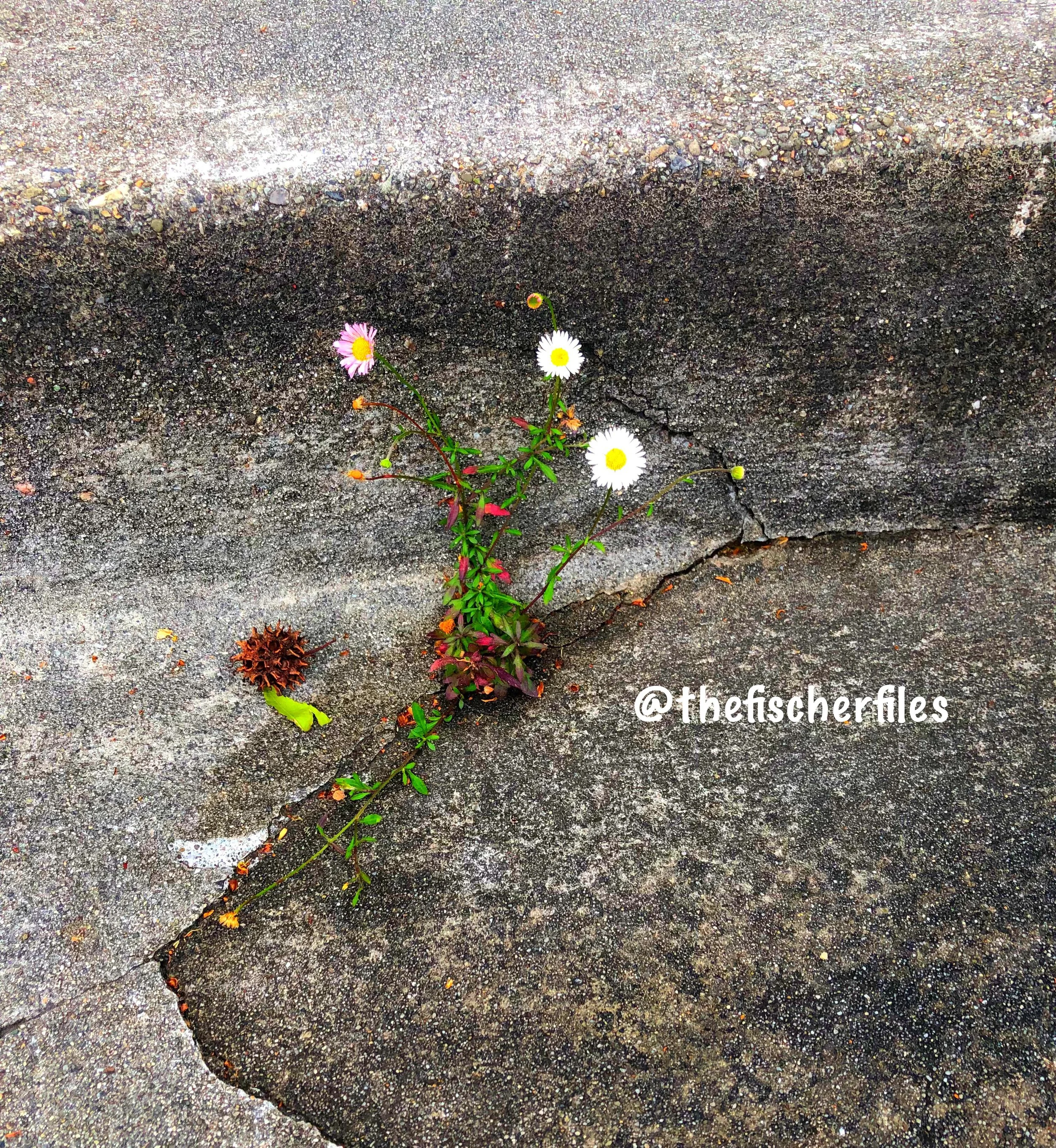 Worthiness and Belovedness