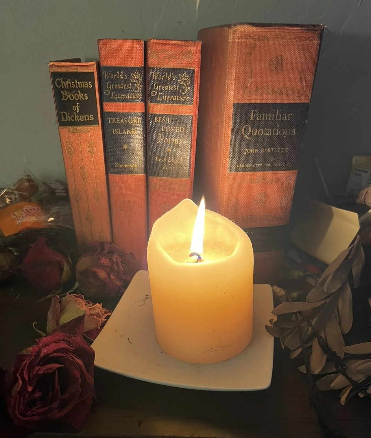 Seasons, Cats, and Advent Hope