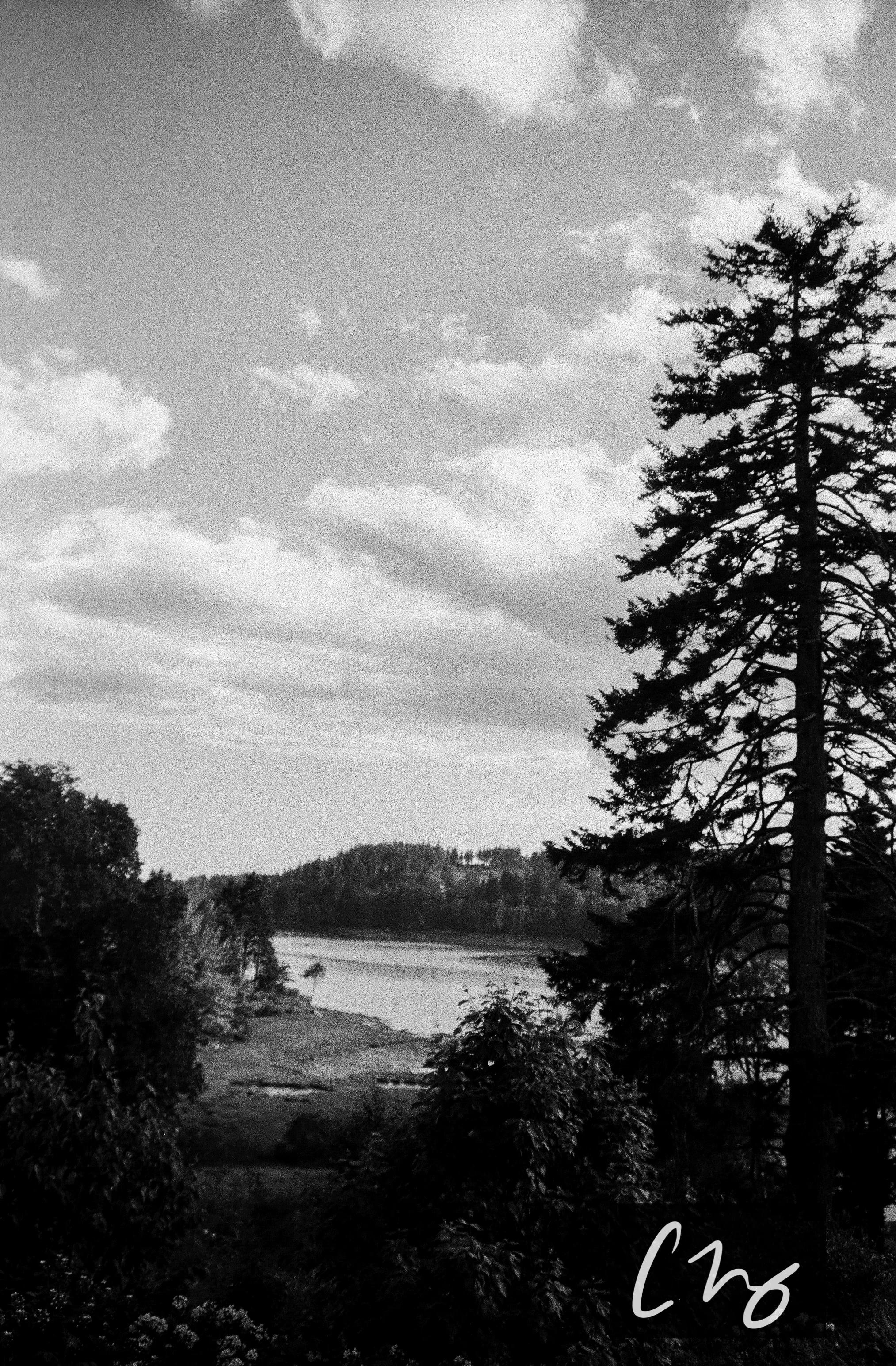 Wooden Islands-4-2.jpg