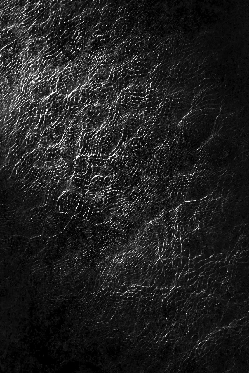 11_Mooney_Ocean Skin-1.jpg