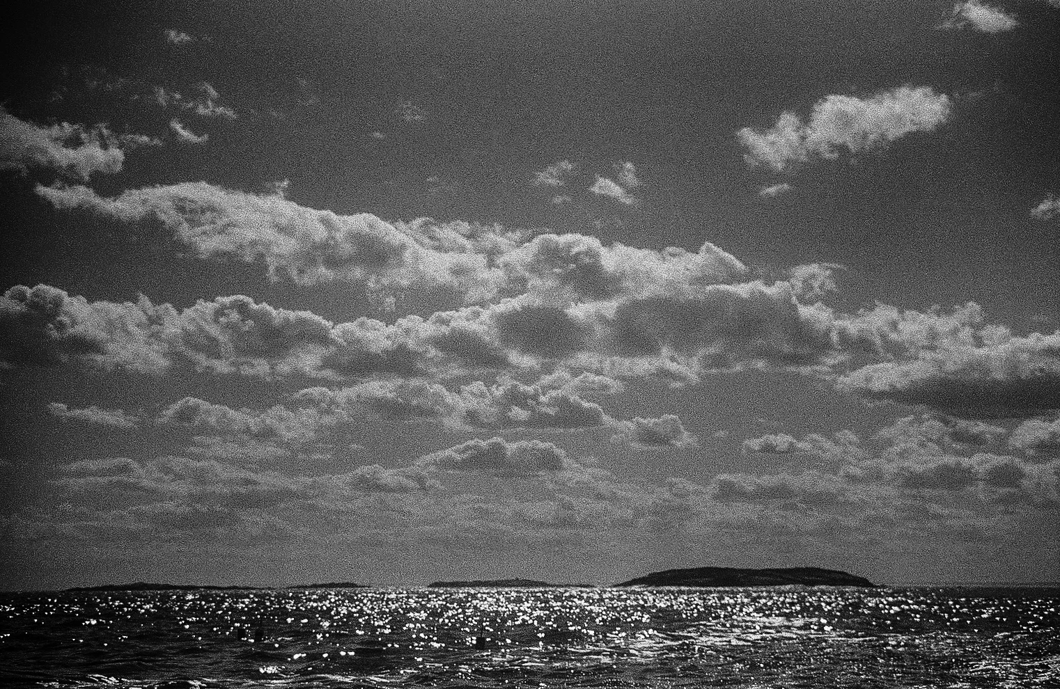 Wooden Islands-1-8.jpg