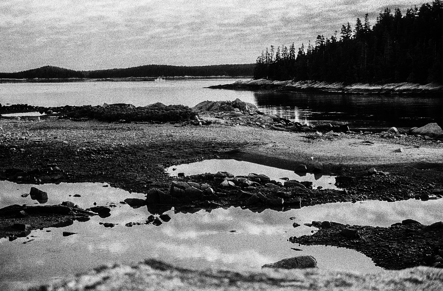 Wooden Islands-1-9.jpg