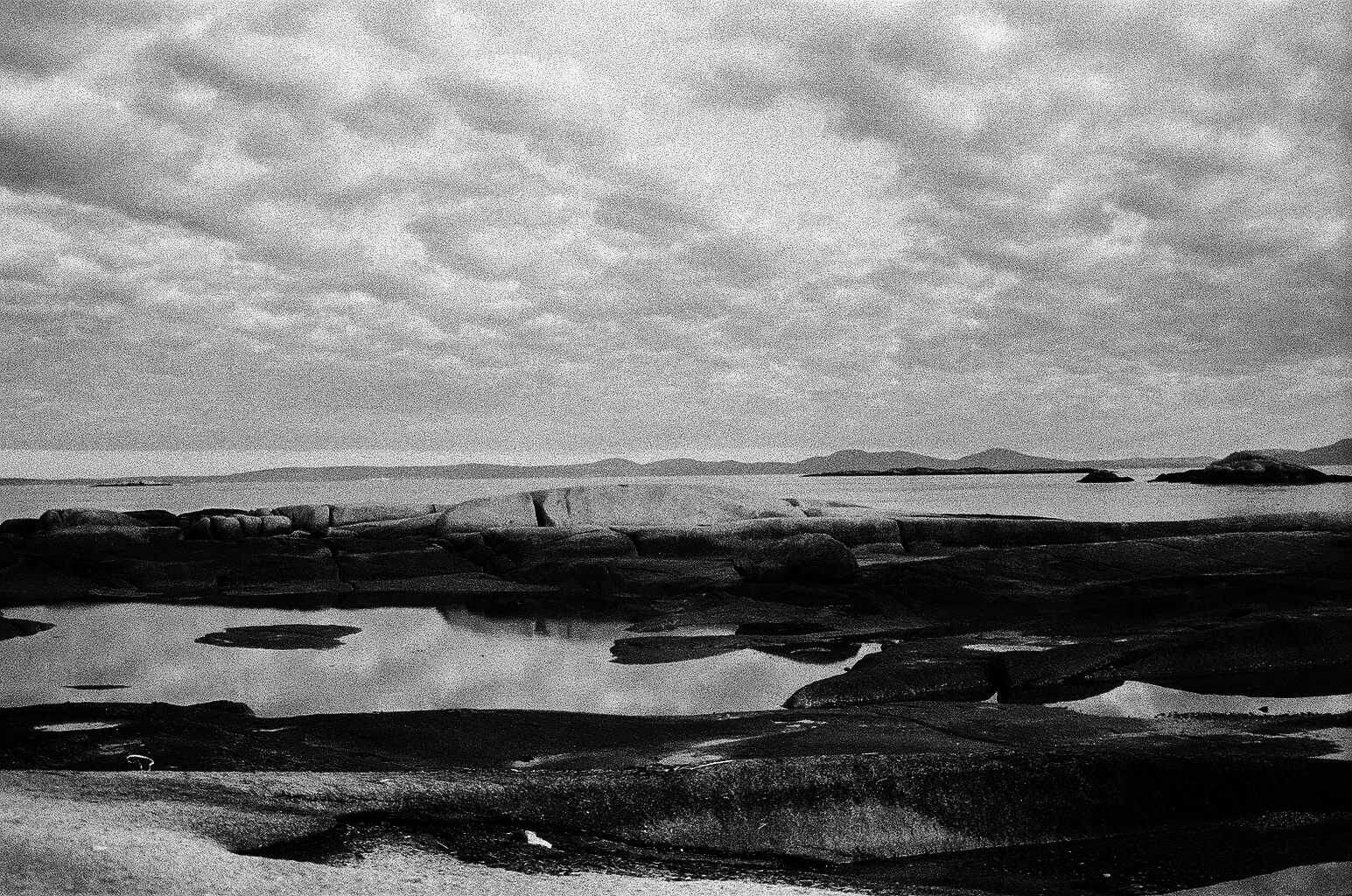 Wooden Islands-1-11.jpg