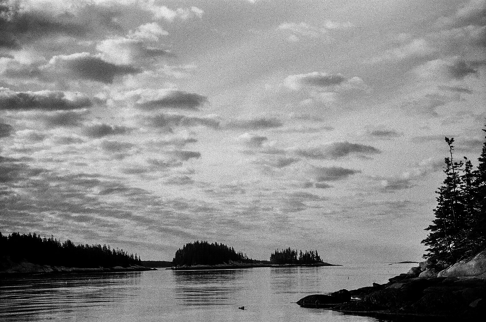 Wooden Islands-1-14.jpg