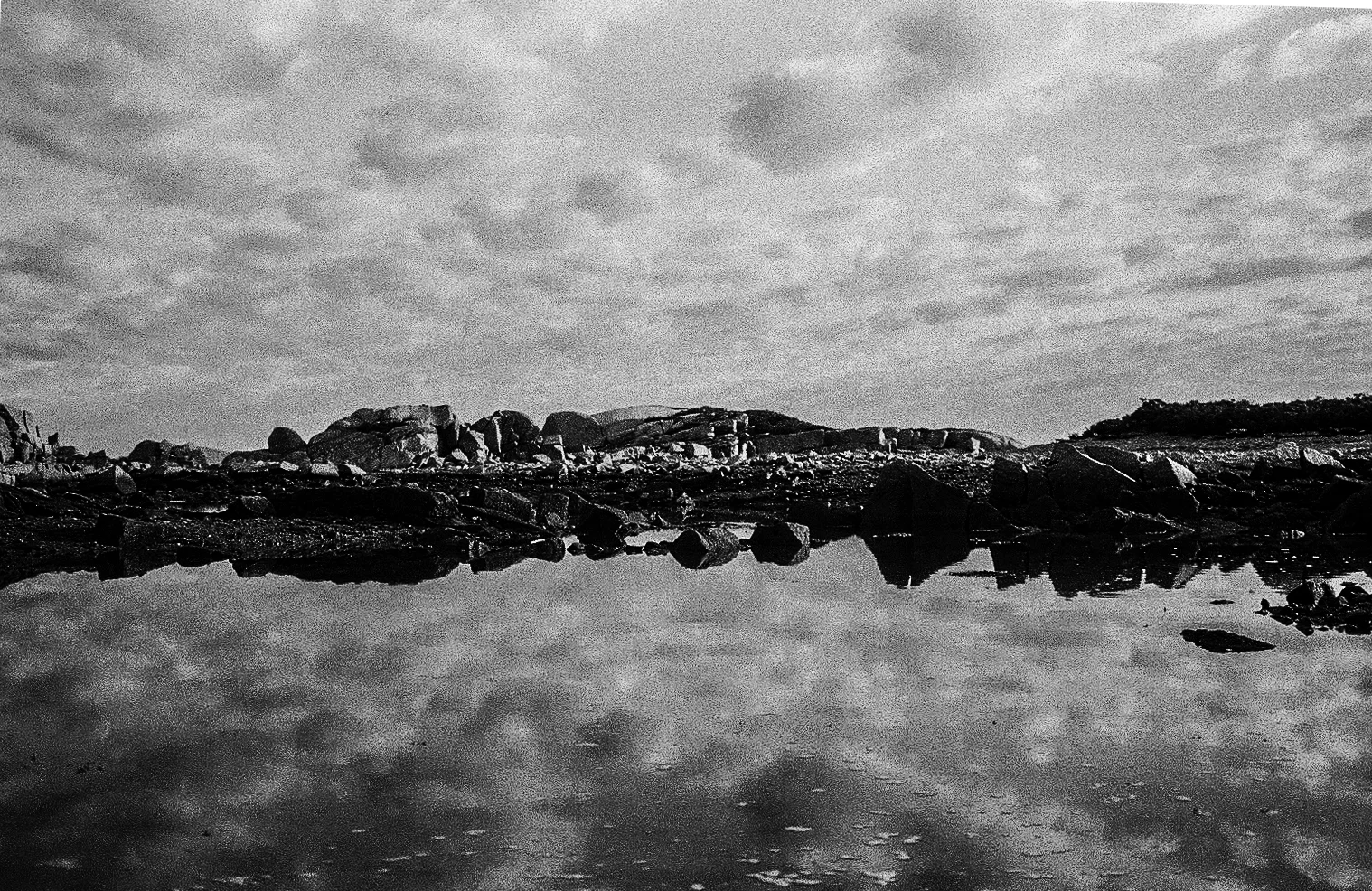 Wooden Islands-1-13.jpg