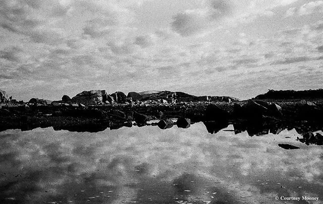Happy Earth Day! From my Wooden Island Collection, a film photography series on Penobscot Bay. #mainegirl #filmphotography #35mm #bw #visualactivism #photography #humbleweekendz