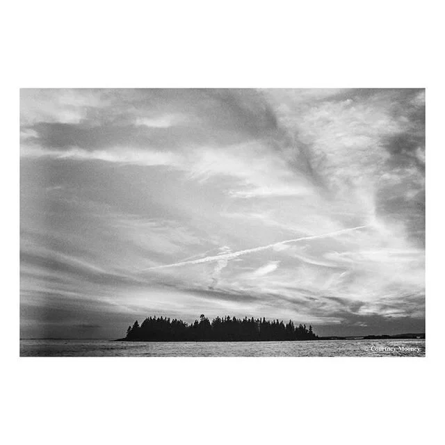 #35mm #silvergelatinprint #silvergelatin #maine #visualactivism #photography