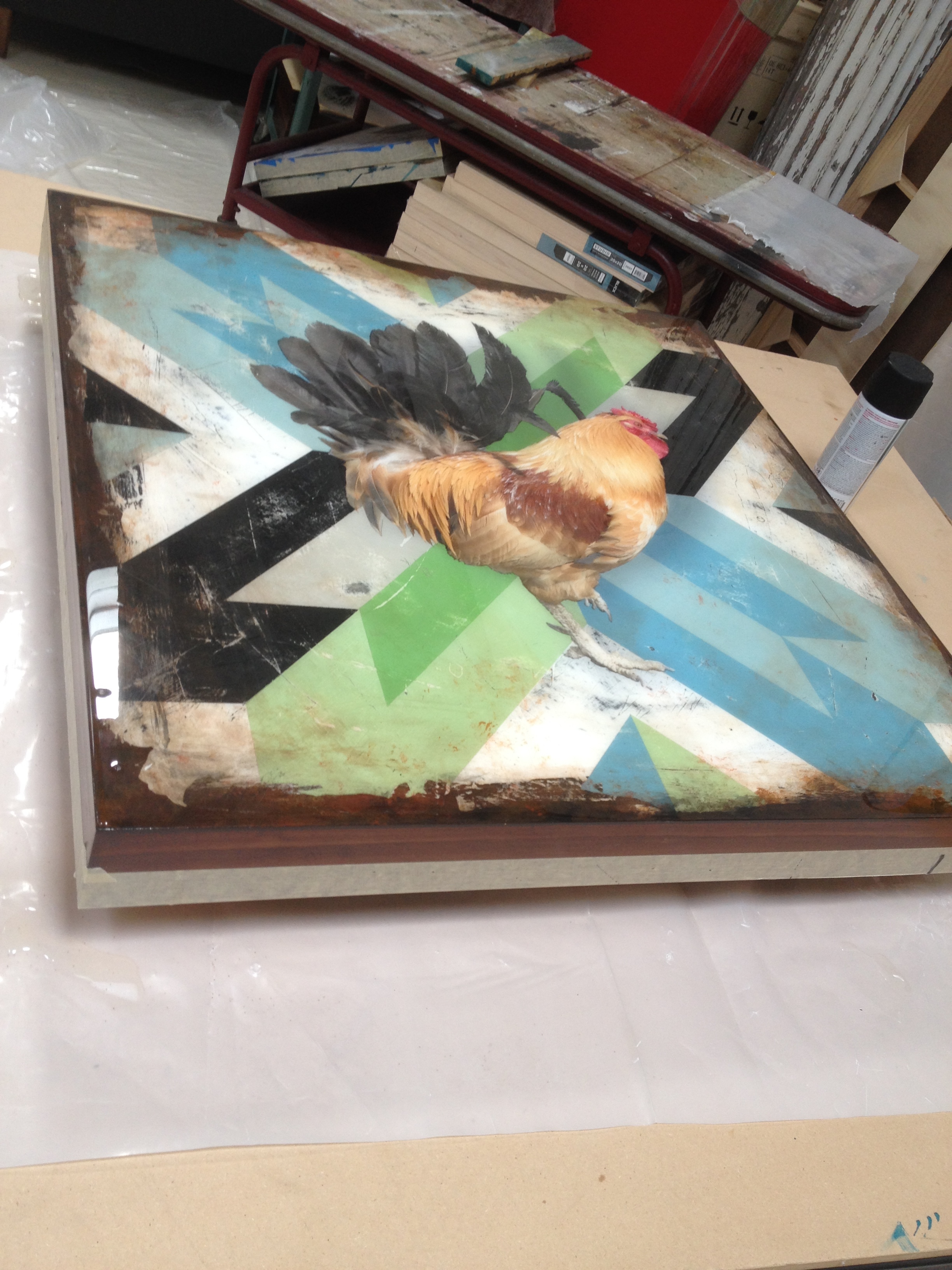THIS IMAGE SHOWS THE REFLECTIVE QUALITY OF THE HIGH GLOSS RESIN COATING