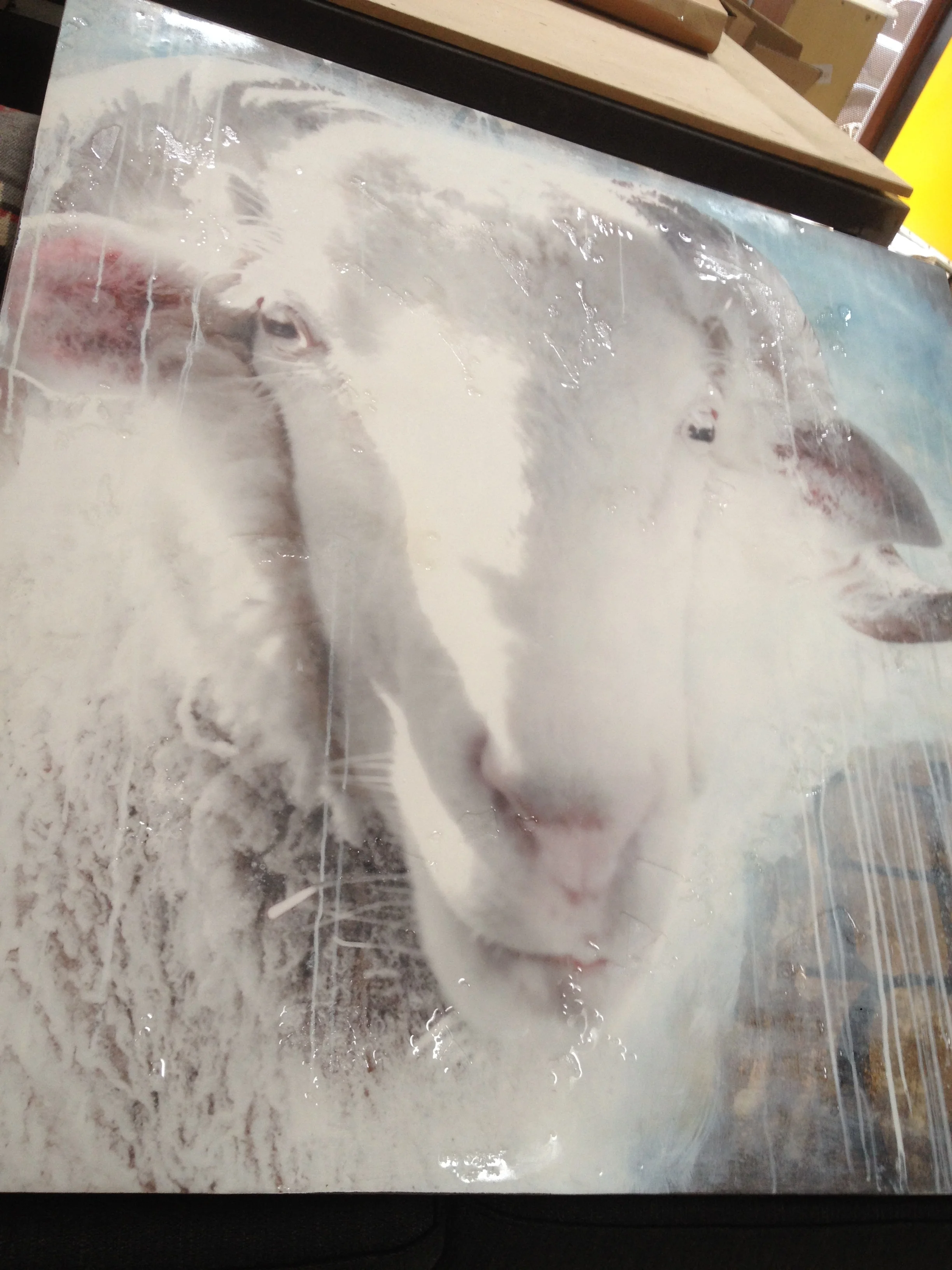 THIS IMAGE SHOWS THE QUALITY OF THE SANDED MATTE RESIN FINISH AND TEXTURE