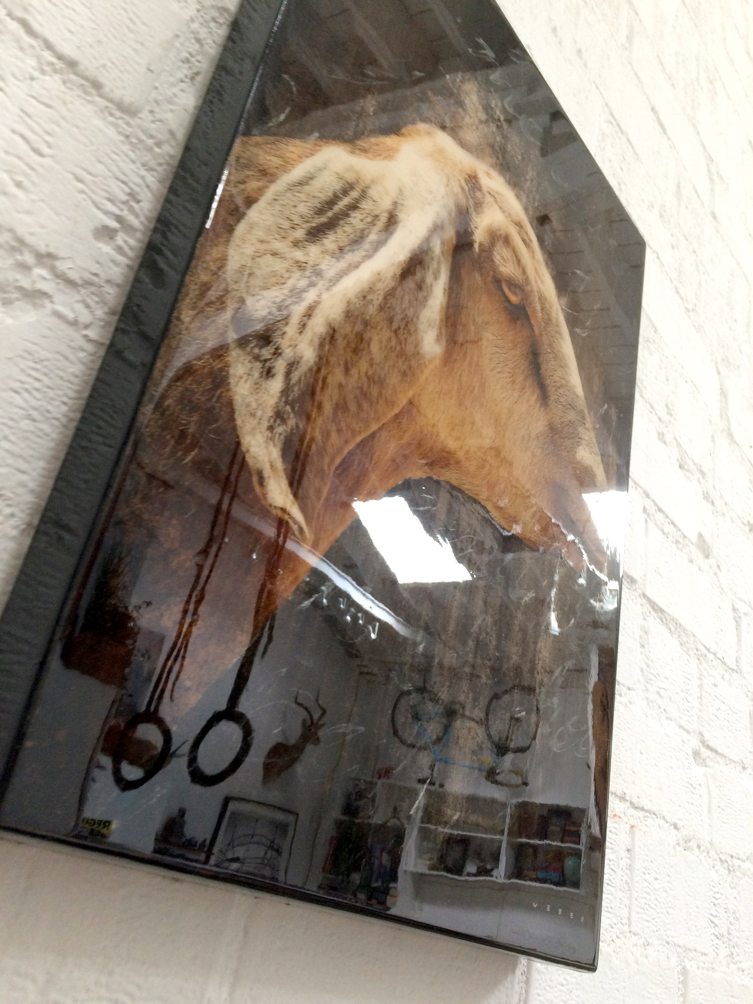 THIS IMAGE SHOWS THE REFLECTIVE QUALITY OF THE RESIN COATING