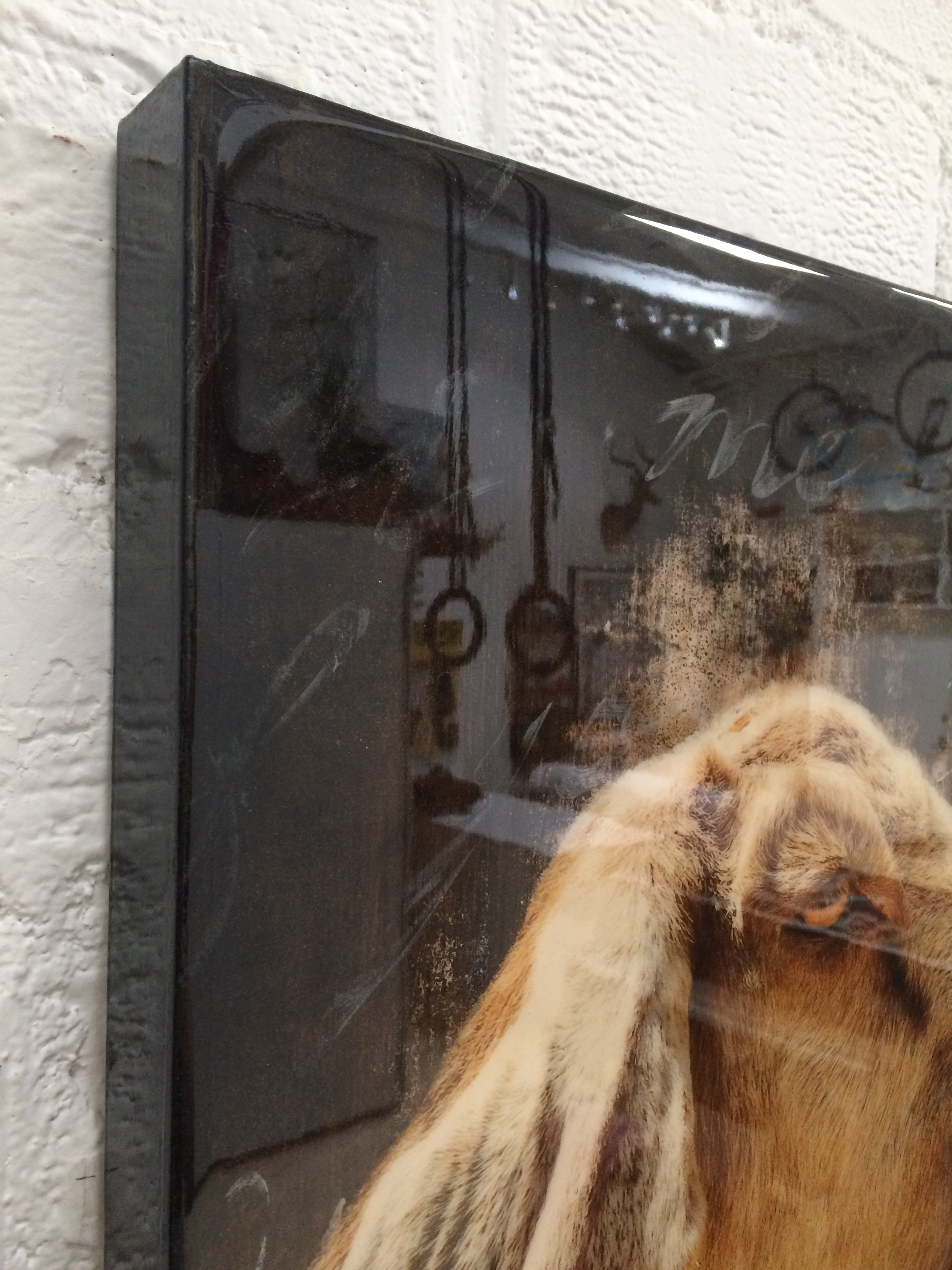 THIS IMAGE SHOWS THE REFLECTIVE QUALITY OF THE RESIN COATING