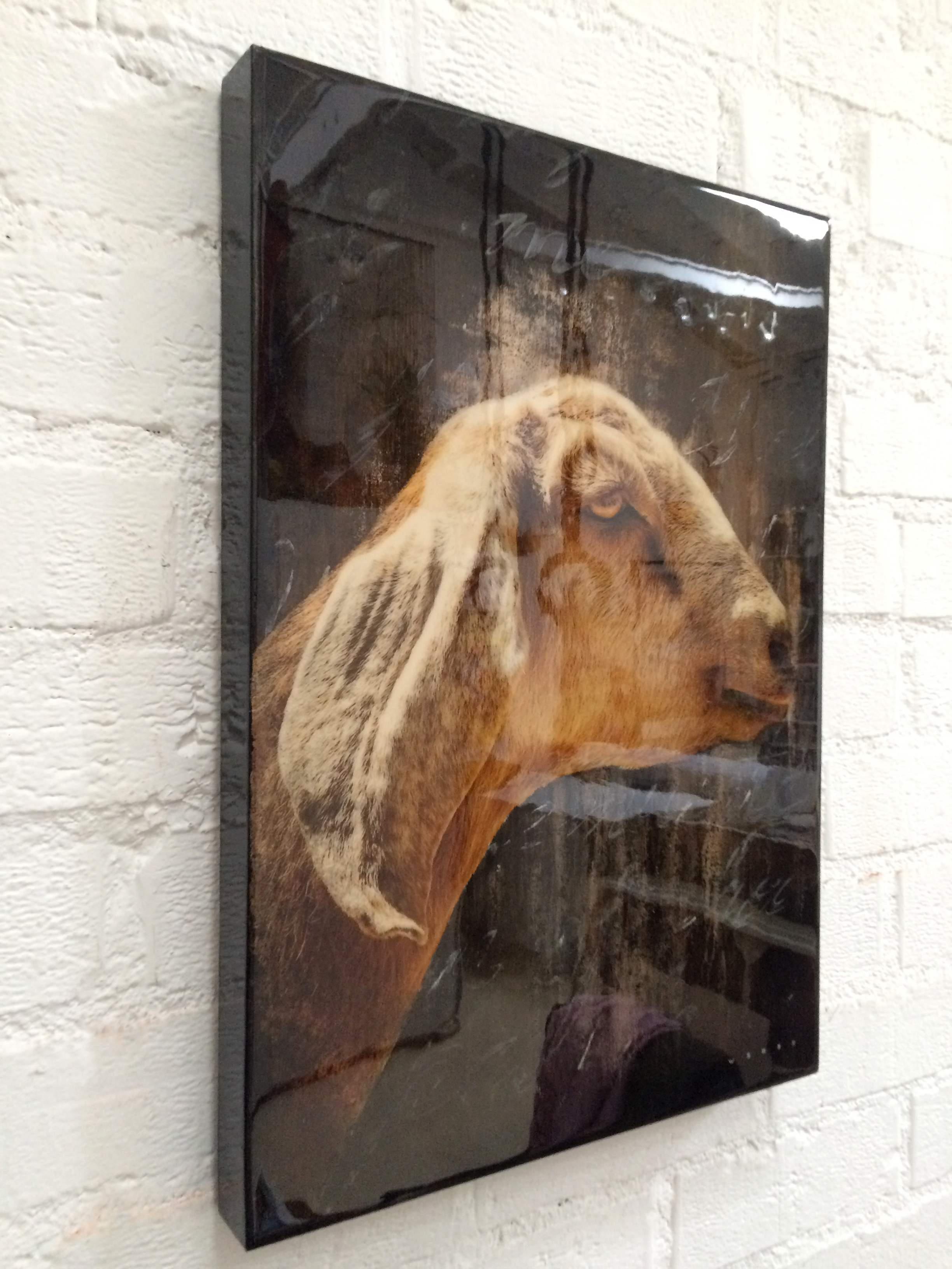THIS IMAGE SHOWS THE REFLECTIVE QUALITY OF THE RESIN COATING