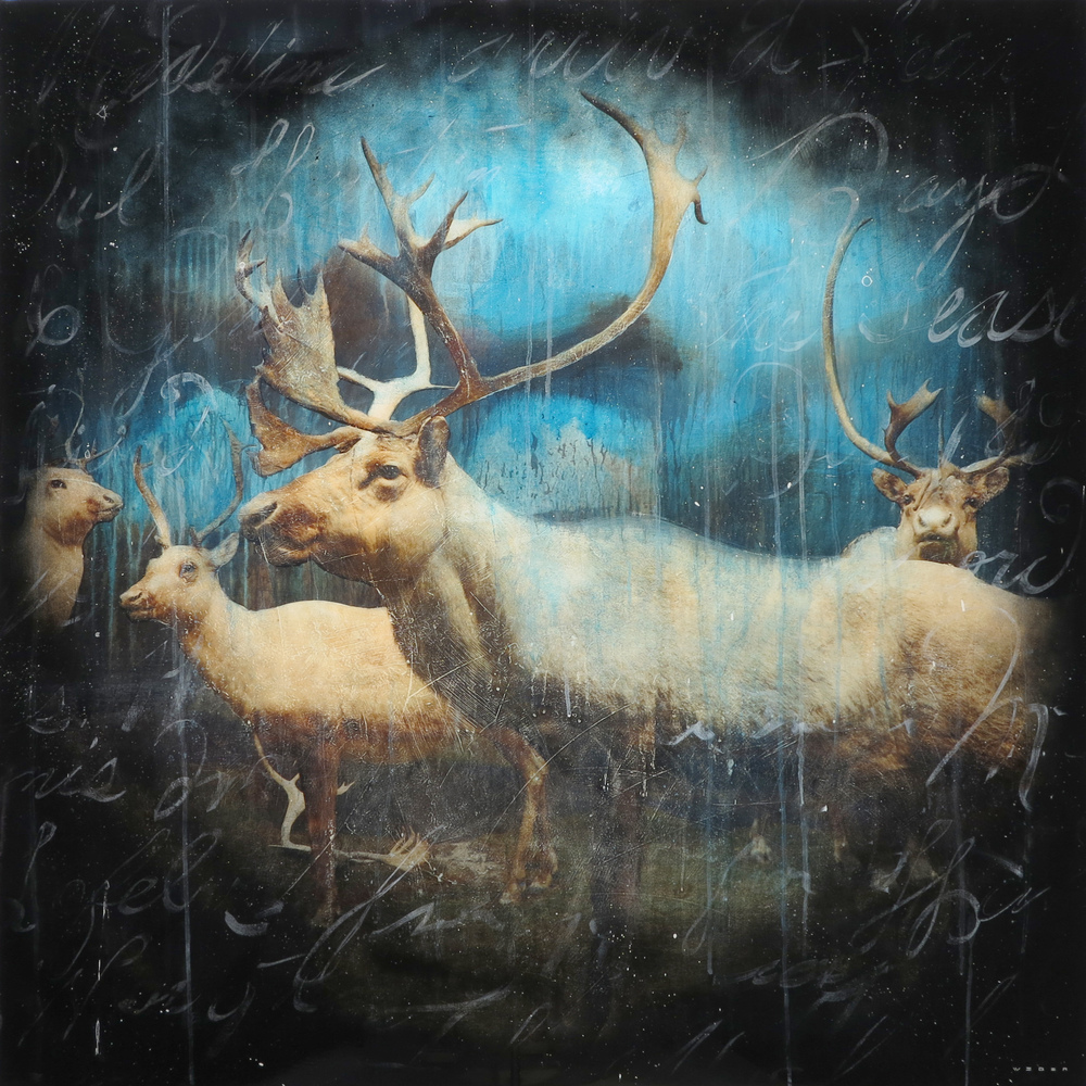 CARIBOU, 48 X 48, $8,500 USD