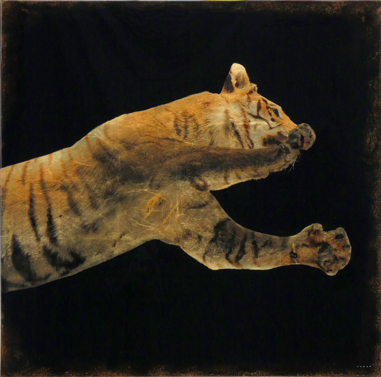 LEAPING TIGER, 36 X 36, $6,500 USD