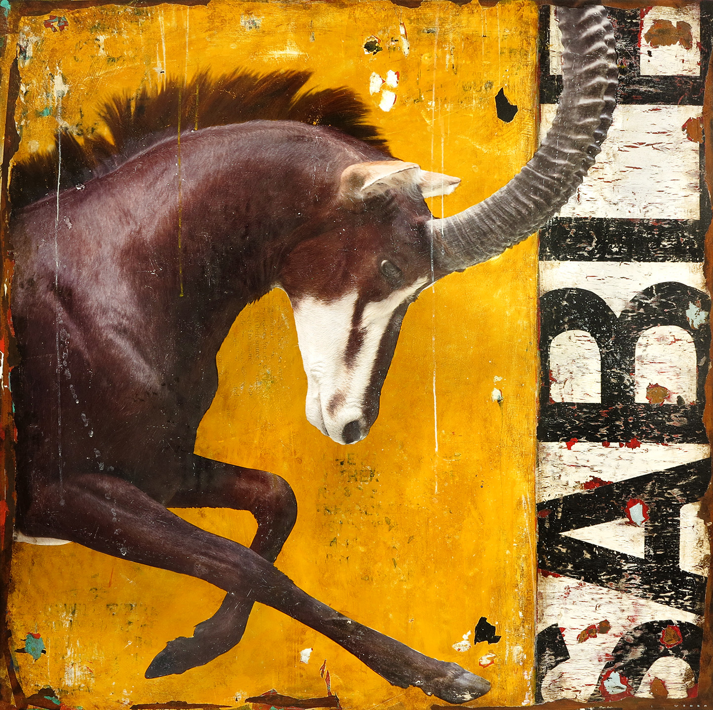 REARED SABLE, 48 X 48, SOLD