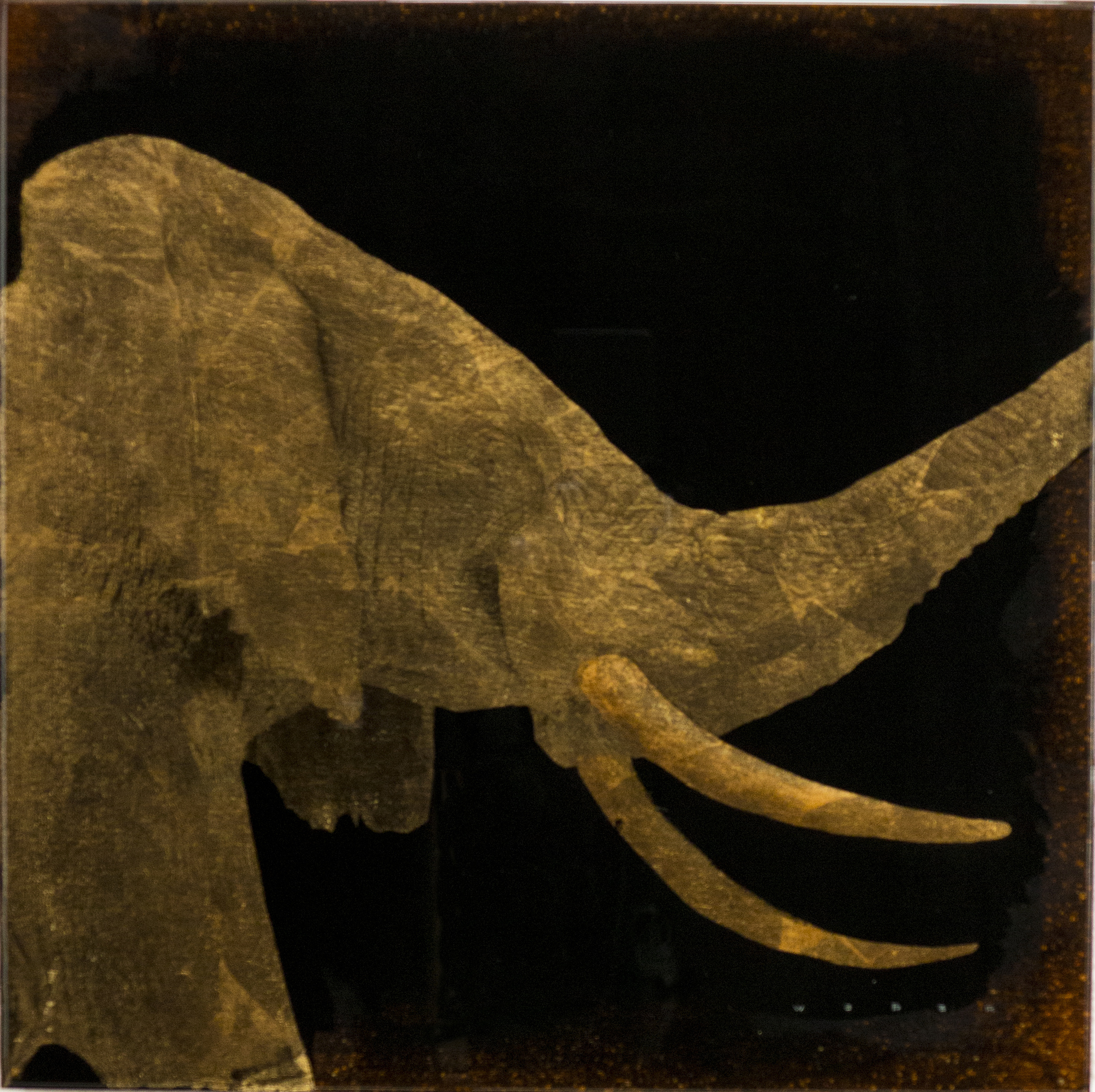 ELEPHANT PROFILE, 12 X 12, $1,250 USD
