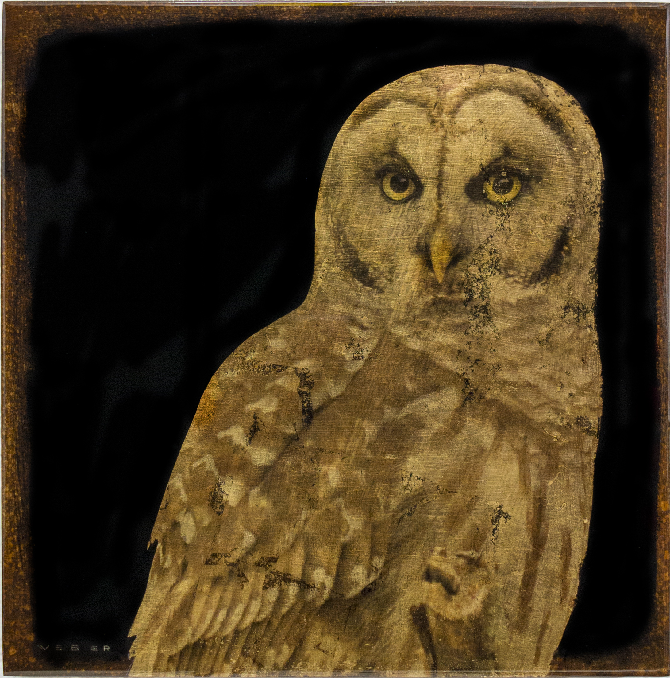 OWL, 12 X 12, $1,250 USD