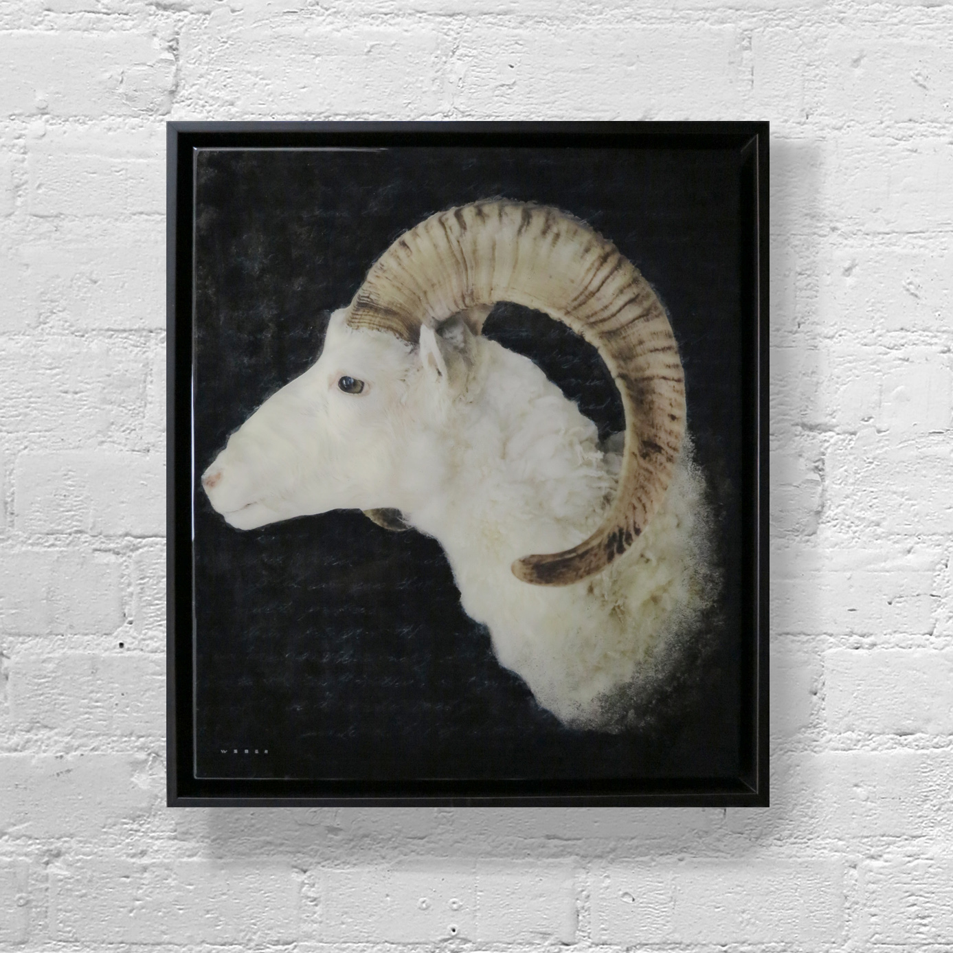 BIGHORN, 25 X 23, SOLD